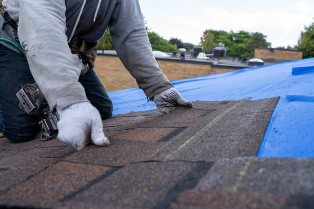 Best Gutter Installation and Roofing  in Whitesboro, AL