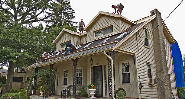Best Roof Gutter Cleaning  in Whitesboro, AL